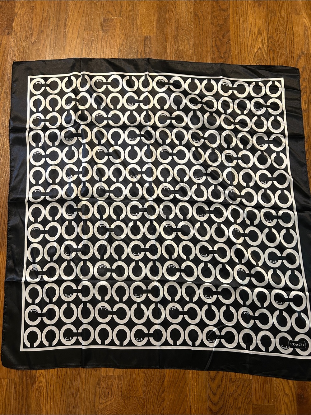 Silk coach scarf